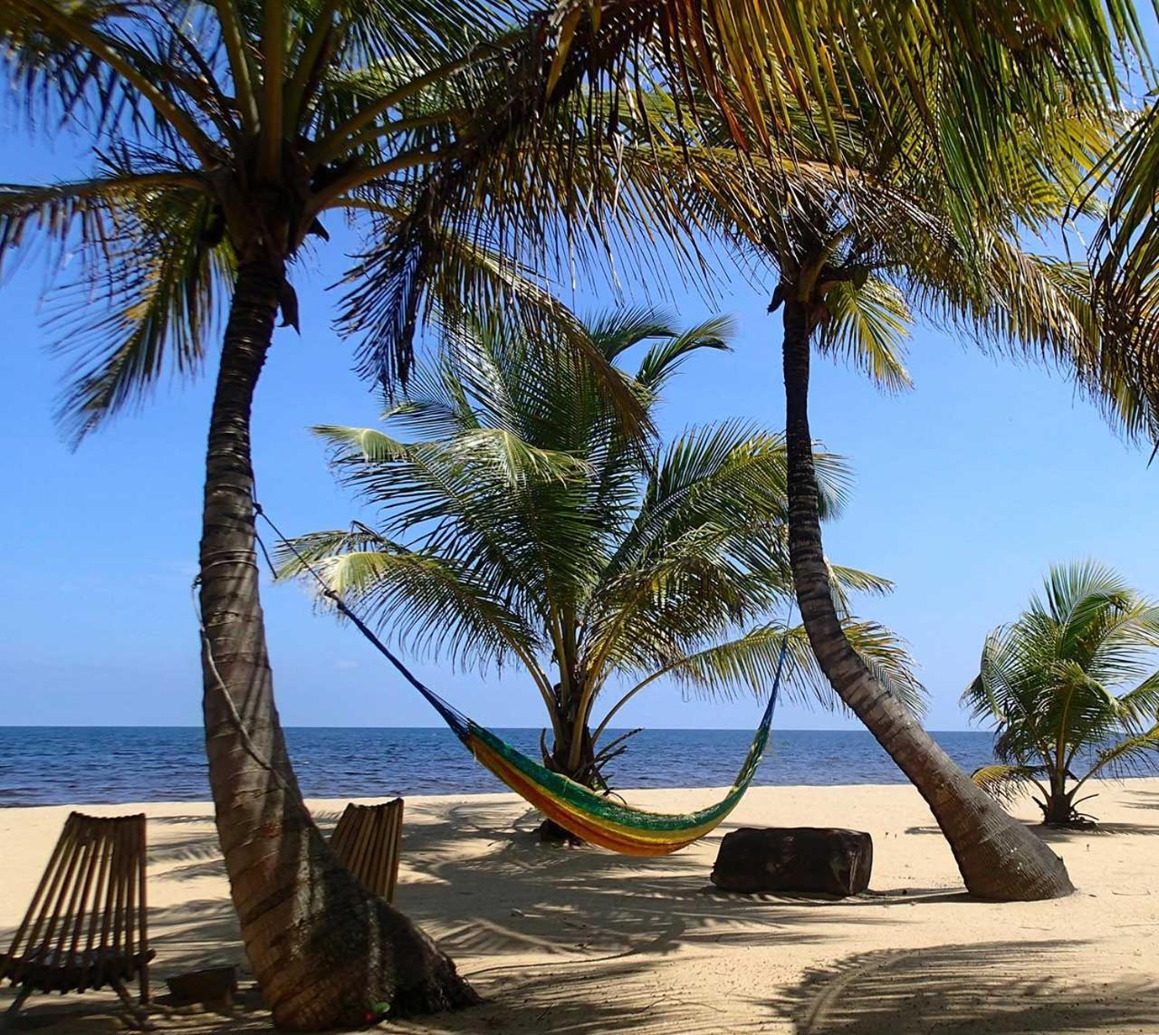 Sabal Beach Punta Gorda Bagian luar foto