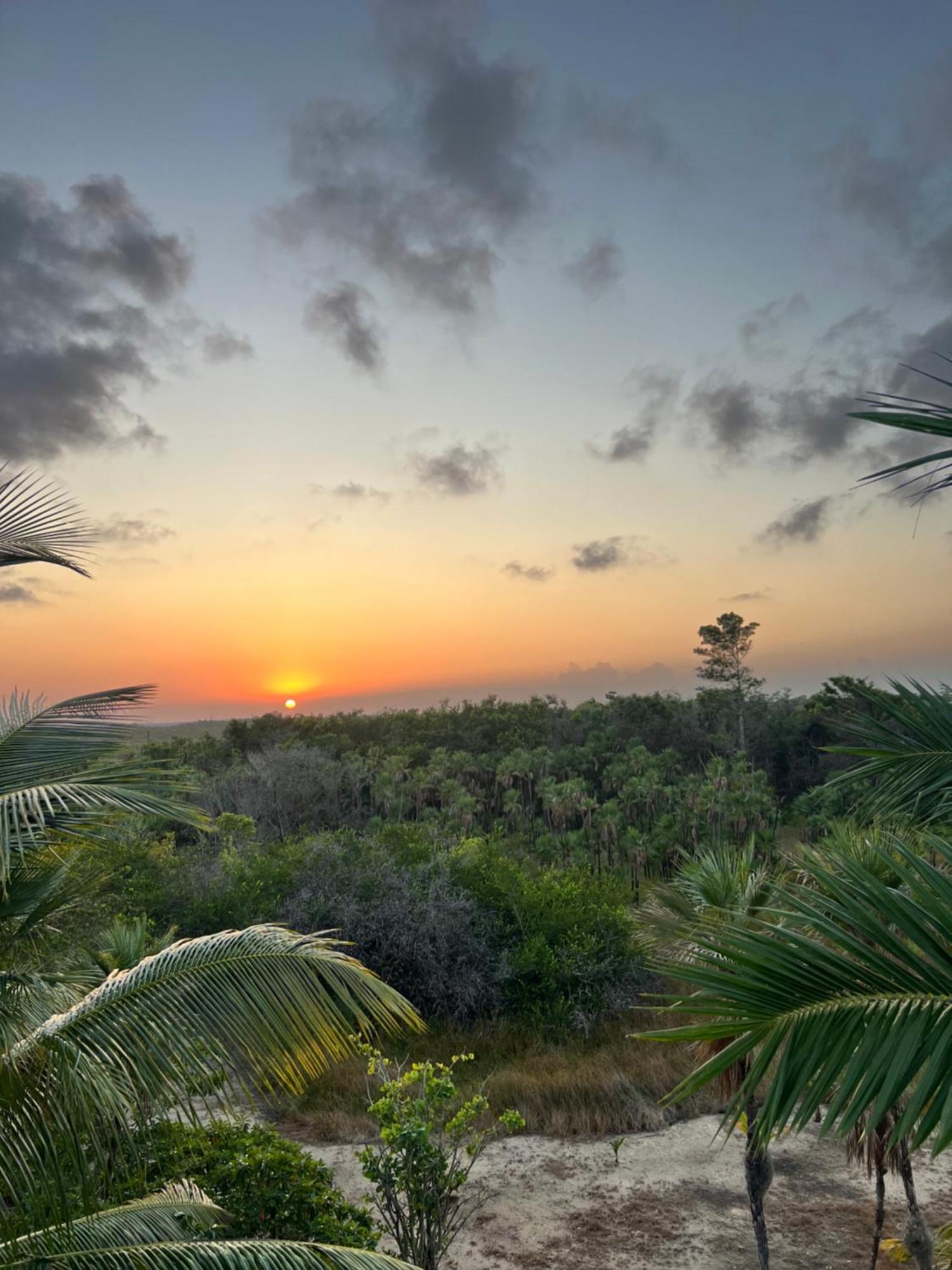 Sabal Beach Punta Gorda Bagian luar foto