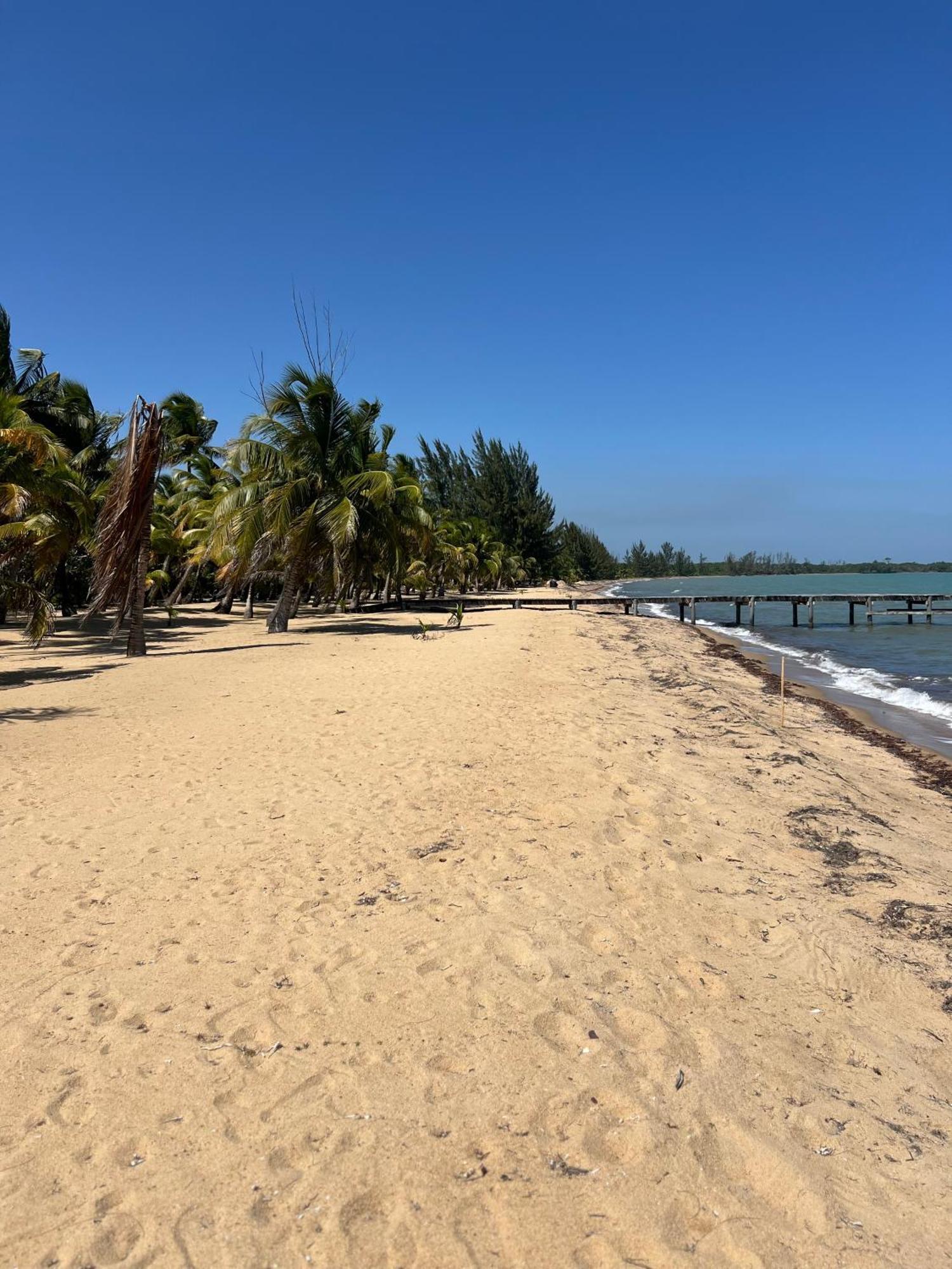Sabal Beach Punta Gorda Bagian luar foto