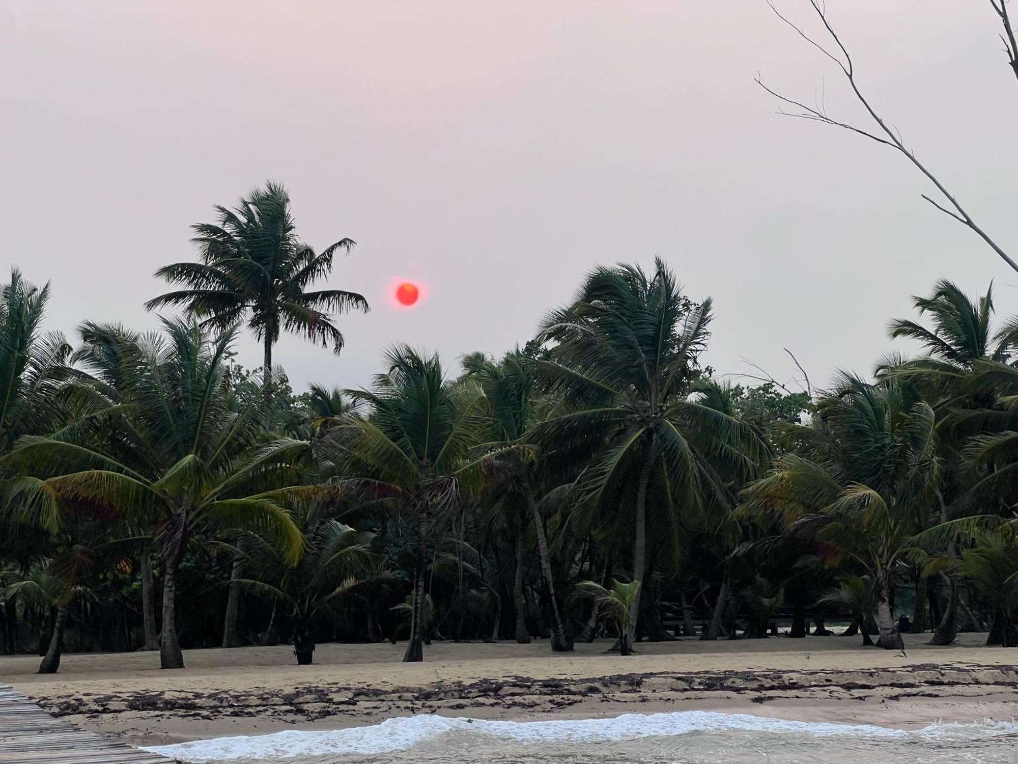 Sabal Beach Punta Gorda Bagian luar foto