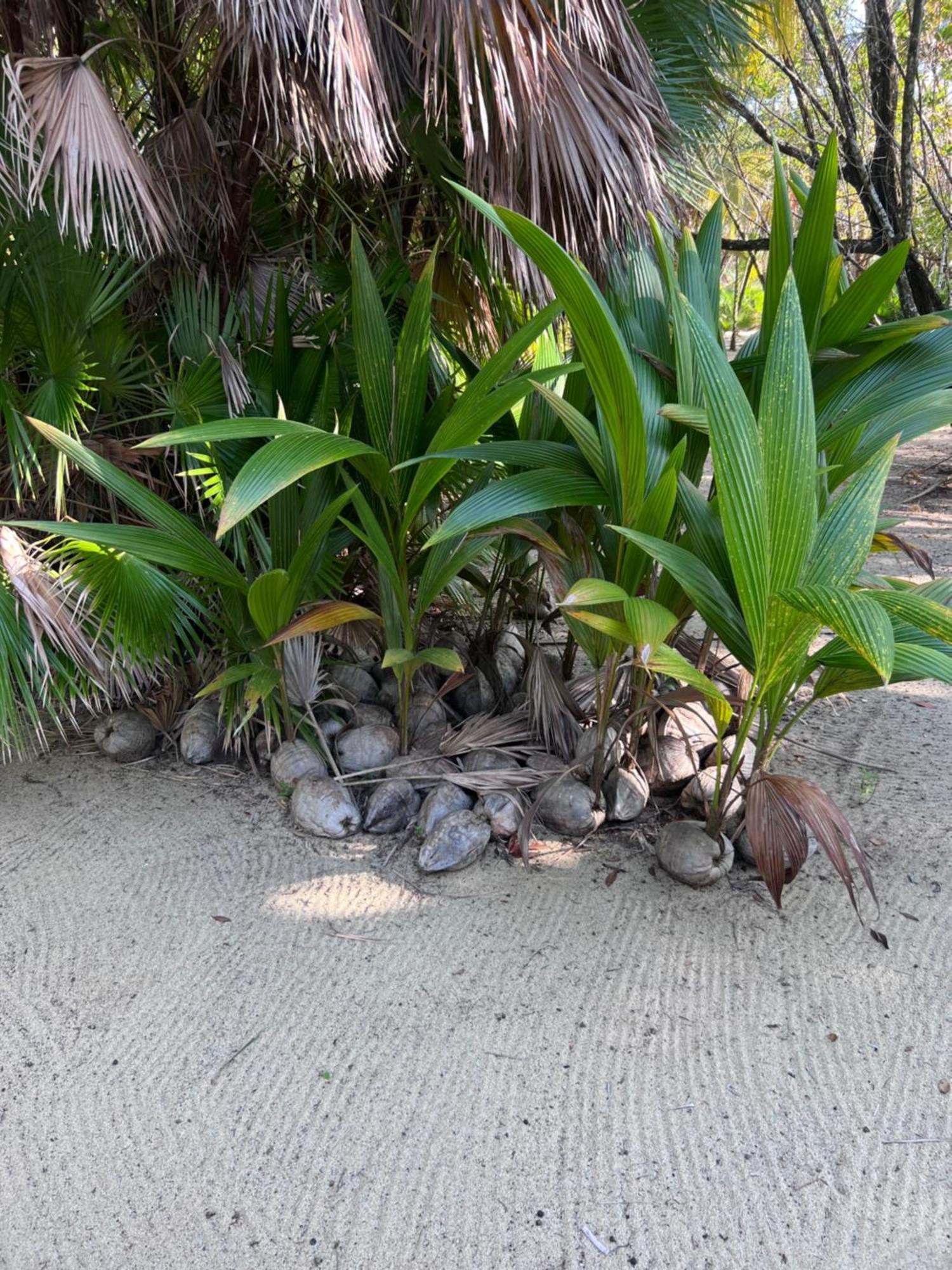 Sabal Beach Punta Gorda Bagian luar foto