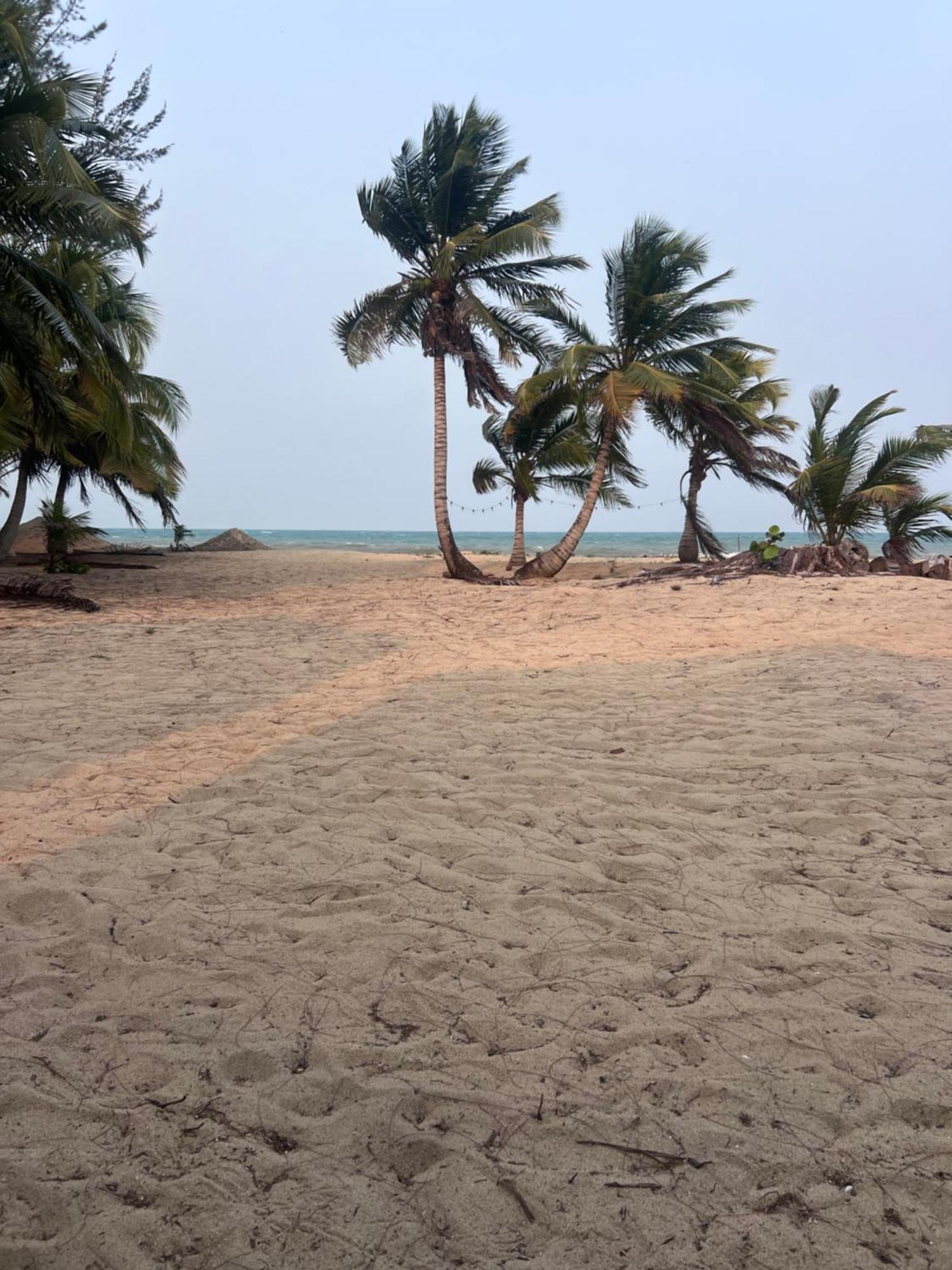 Sabal Beach Punta Gorda Bagian luar foto