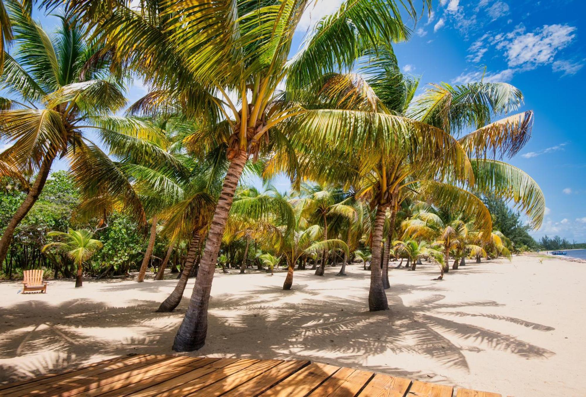 Sabal Beach Punta Gorda Bagian luar foto