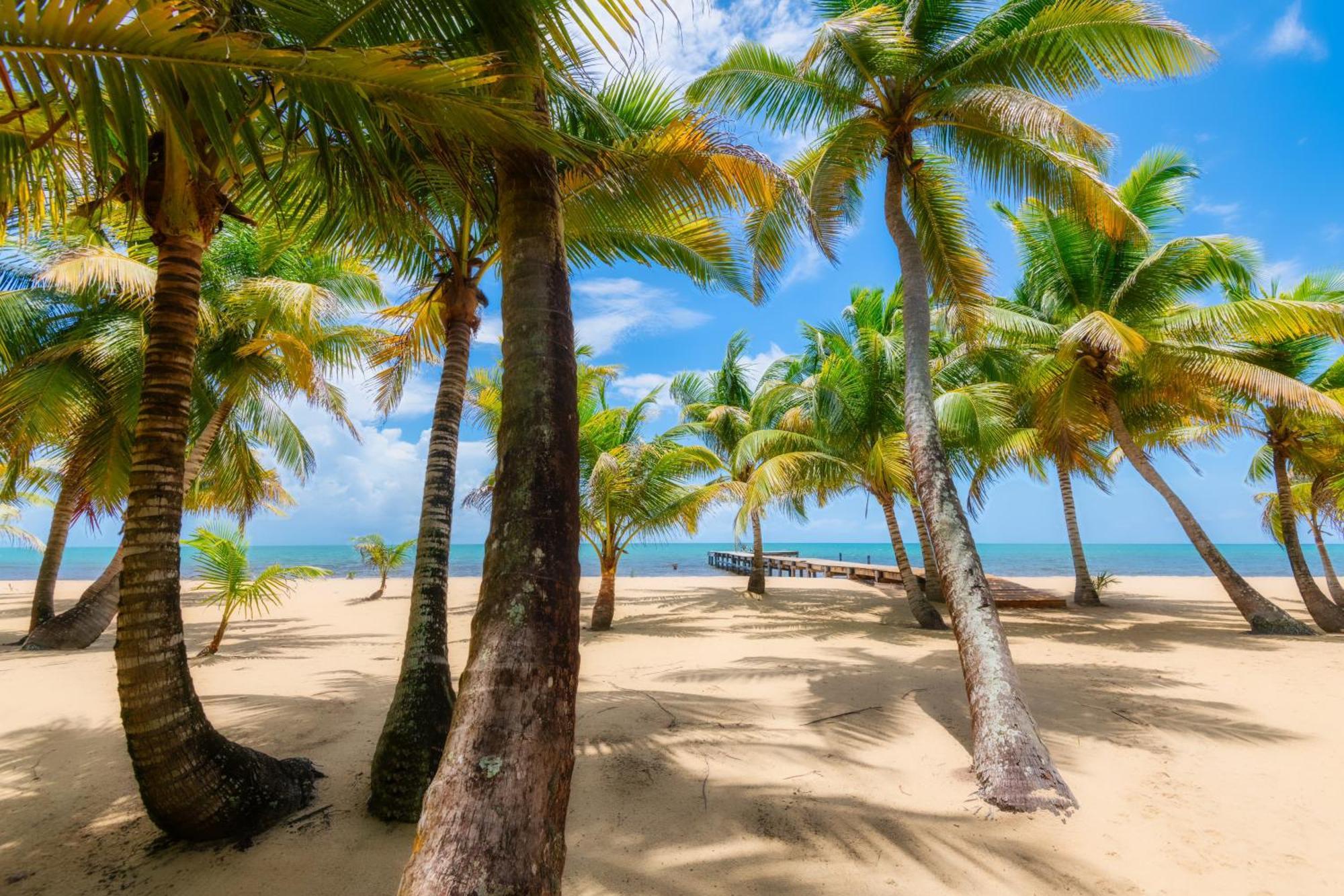 Sabal Beach Punta Gorda Bagian luar foto